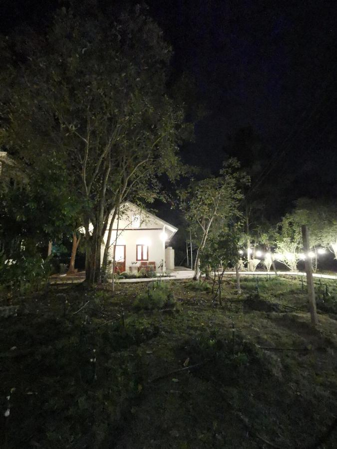 ラムプーン Baangaimuan Bed & Breakfast エクステリア 写真